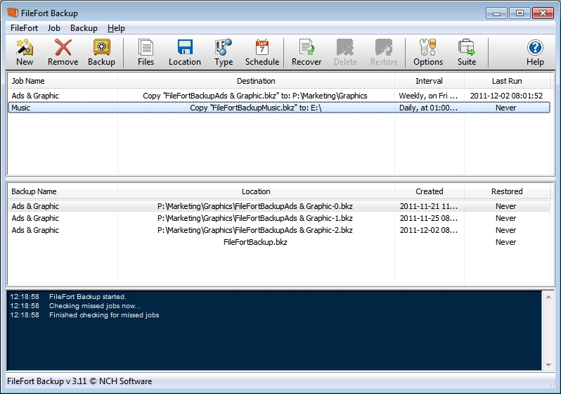 screenshot of FileFort Backup Software